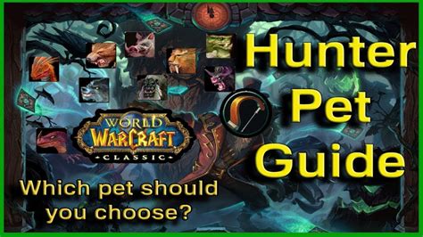 wow classic hunter pets guide.